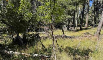 Calle de los Indios lot 101, Angel Fire, NM 87710