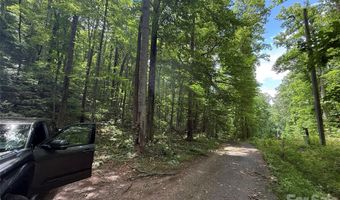 9999 Countryside Est, Barnardsville, NC 28709