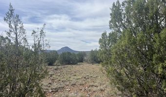 51 W Boiling Pot Rd, Ash Fork, AZ 86320