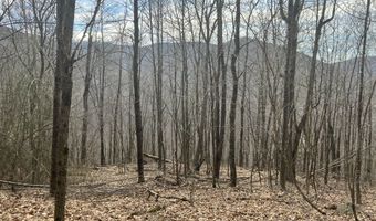 0 TBD Elleber Sods Rd, Bartow, WV 24920