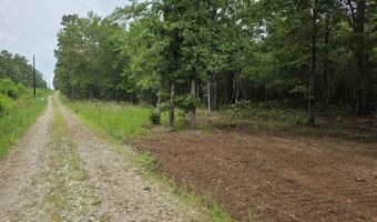 Blume Road lot 9, Alto, TX 75925