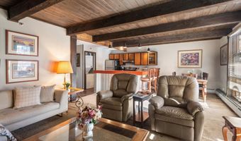 600 E Main St 207, Aspen, CO 81611