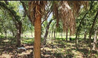 562 LIBBY Rd, Babson Park, FL 33827