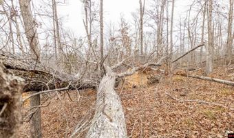 CR 19-A, Alton, MO 65606