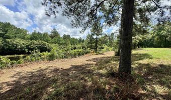 12161 Ridgeview Lp, Andalusia, AL 36421