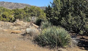 Shannondale Road, Acton, CA 93510