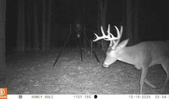BRUSHY Ln, Arley, AL 35541