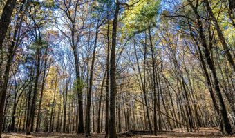 Lot 33 S Badger Lane, Arkdale, WI 54613