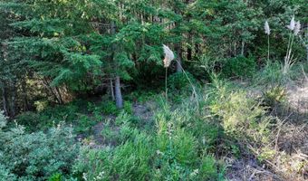 97436 WHISPER Ln, Brookings, OR 97415