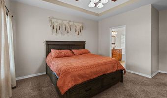 806 E Grant St, Ash Grove, MO 65604