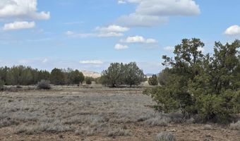 64 Antelope Run, Ash Fork, AZ 86320