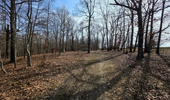 County Road 529, Ava, MO 65608