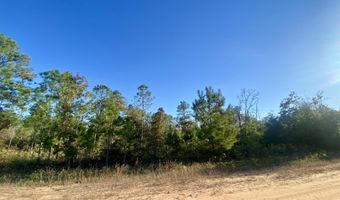 Nezperce Drive lot 128, Alford, FL 32420