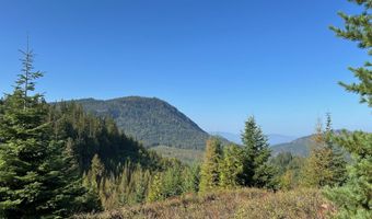 Tract 6 USFS 2294, Clark Fork, ID 83811