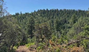 TBD-2 Vine Mesa Ave, Beulah, CO 81023