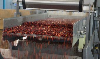 54981 MORRISON Rd, Bandon, OR 97411