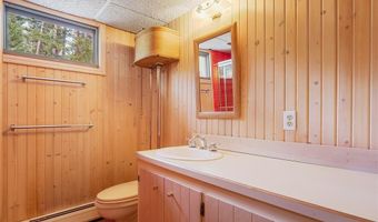 212 Briar Rose Ln, Breckenridge, CO 80424
