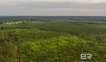 Flowers Road, Bay Minette, AL 36507