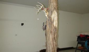 1401 W Bowman Dr, Artesia, NM 88210