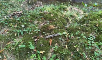 SW Auburn Drive, Bogue Chitto, MS 39629