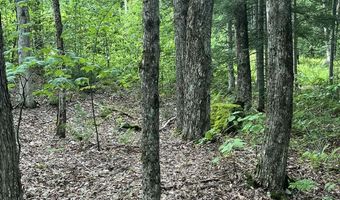 961 Maple St, Bethlehem, NH 03574