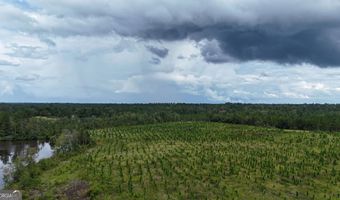 1025 Old Dairy Rd, Ailey, GA 30410