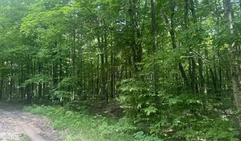 4439 Derry Rd, Alba, MI 49611