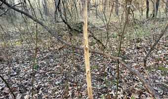 0002 CR-290, Asbury, MO 64832