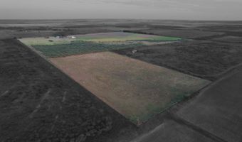 1501 Co Rd 216, Afton, TX 79220