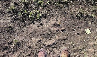 Jarvis Landing Road, Aurora, NC 27806