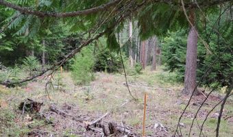 Nna Monarch Place, Bonners Ferry, ID 83805