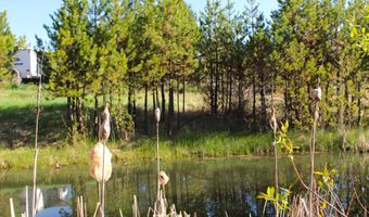 7 Placer Pl Lot 13, Cascade, ID 83611