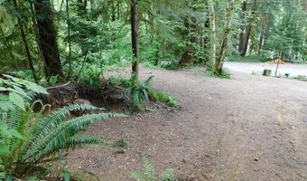 10286 RIDGE VIEW Ter, Birkenfeld, OR 97016