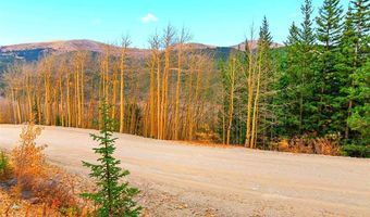 ROBERTS Road lot 0, Alma, CO 80420