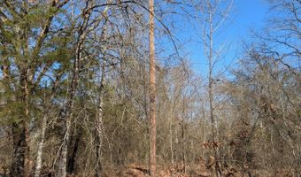 179 RS County Road 2572, Alba, TX 75410