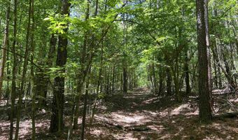 JINKS ROAD, Bernice, LA 71222