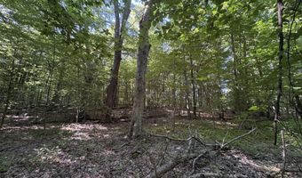 104 Th Ave, Allegan, MI 49010