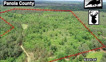 Rutherford Road, Batesville, MS 38606