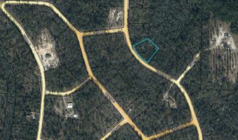 Koskiusko Drive, Alford, FL 32420