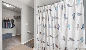 499 Dutch White Dr, Clover, SC 29710