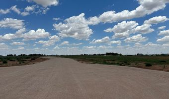 SE CR 2870, Andrews, TX 79714