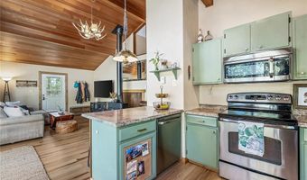 248 American Way, Breckenridge, CO 80424