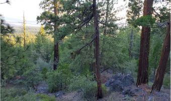 Seal Lane 37, Bonanza, OR 97623