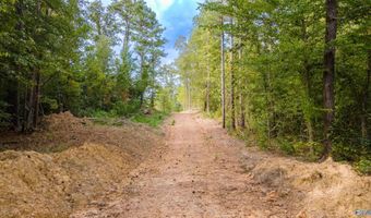 10675 29 Acres Shoal Creek Rd, Ashville, AL 35953