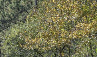 2116 Highway 84 E, Brookhaven, MS 39601