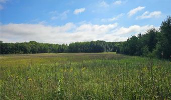 Parcel 1 Hwy 87, Backus, MN 56435