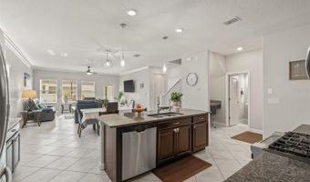 3212 CALVANO Dr, Land O Lakes, FL 34639