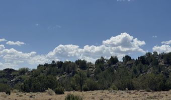 5 County Rd # 8095, Concho, AZ 85924