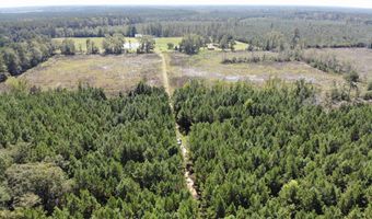 Old Buckhead Road, Bamberg, SC 29003