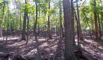 BIG HORN TRAIL E-15, Augusta, WV 26704